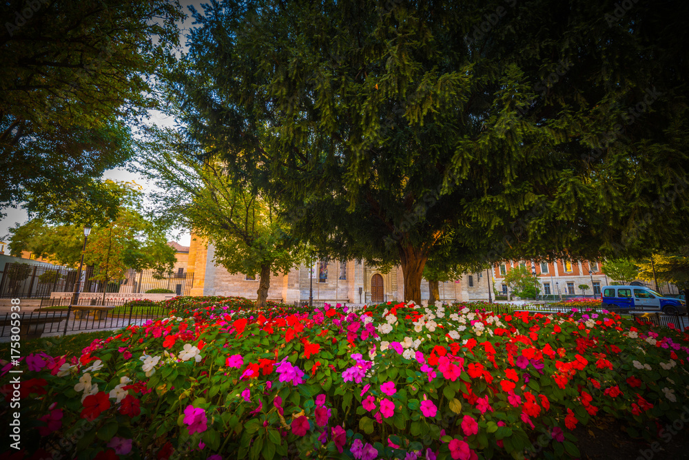 Obraz premium Valladolid, ciudad histórica y cultural, España.