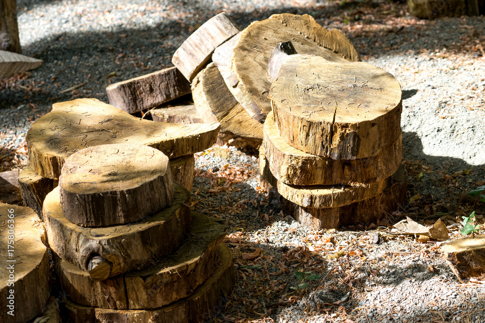 natural background with wooden dice and pieces of tree trunks natural background with wooden dice and pieces of tree trunks