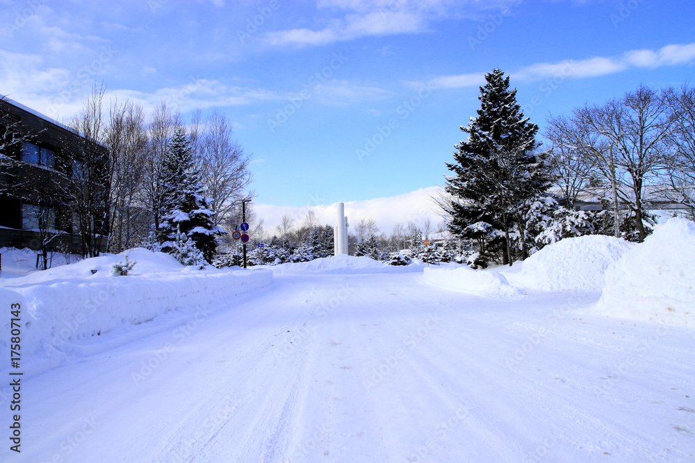 Snow scenery in Sapporo city, Hokkaido