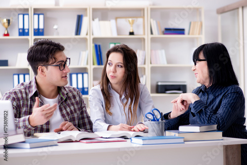 Young student and teacher during tutoring lesson