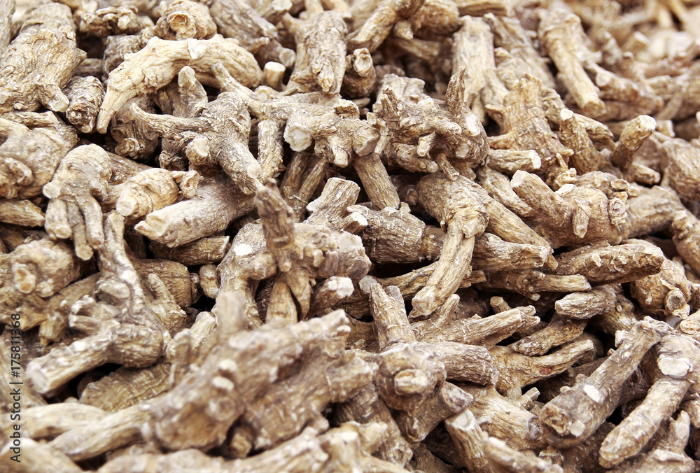 Chinese Herbal medicine - American Ginseng roots (Panax quinquefolius) Chinese Herbal medicine - American Ginseng roots (Panax quinquefolius)