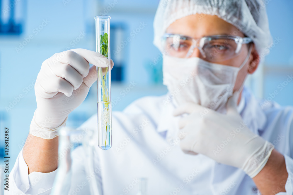 Biotechnology concept with scientist in lab