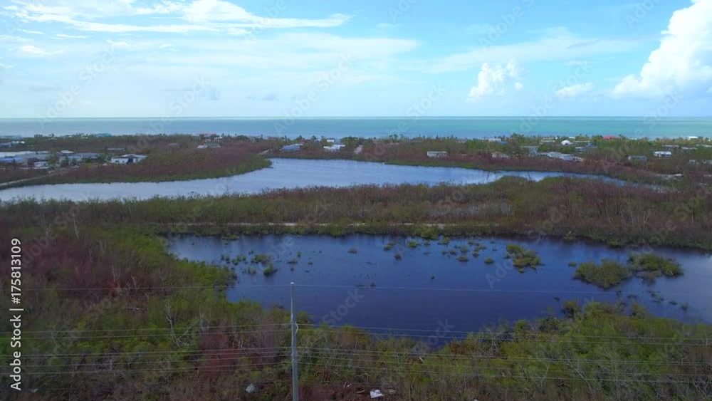 Florida Keys brown dead trees aftermath Hurricane Irma 4k 60p prores Florida Keys brown dead trees aftermath Hurricane Irma 4k 60p prores