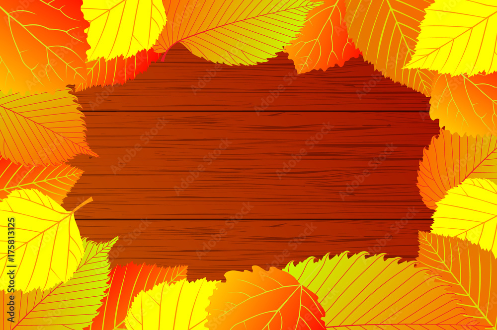 Autumn - mixture (elm, hornbeam, birch, aspen) leaves - vector background, Autumnal leaf, (Betula, Populus, Carpinus, Ulmus),