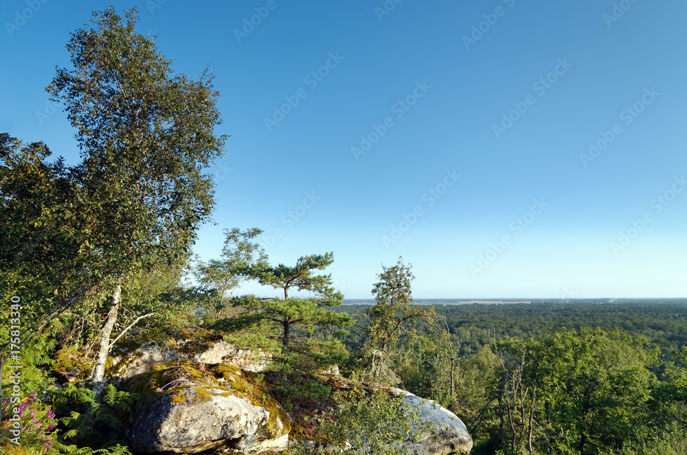 Point de vue du rocher Corne-biche en forêt de fontainebleau