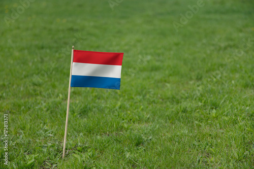 Netherlands flag, Holland Netherlands flag on a green grass lawn field background. National flag of the Netherlands waving outdoor