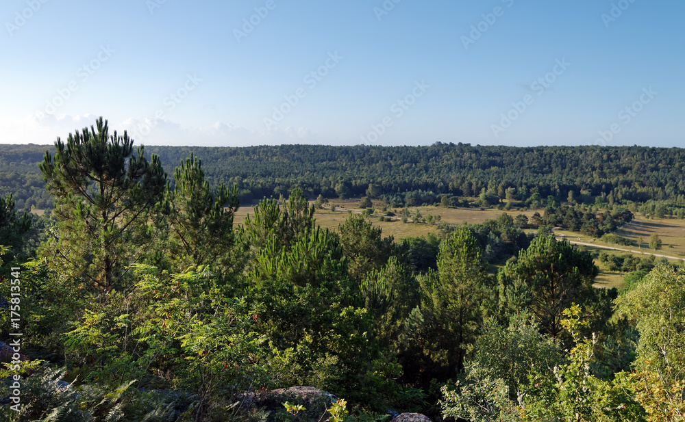 plaine de Chanfroy  en forêt de Fontainebleau