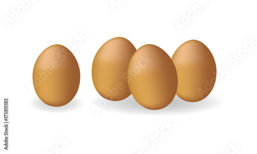 Four vector realistic white eggs. Isolated eggs on white background. 