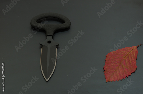 Military autumn. Knife and dry leaf. photo
