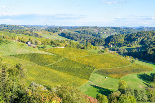 Famous touristic wine road, weinstrasse on the border between Austria and Slovenia photo