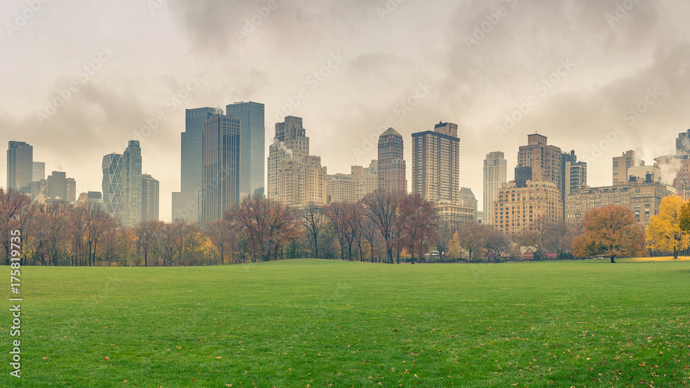 Central park at rainy day, New York City, USA