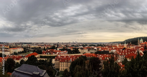 czeck it out - prague photo