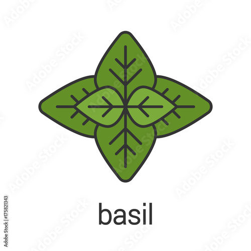 Basil color icon