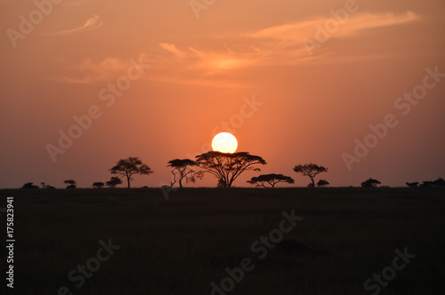 Sunrise at Serengeti National Park  Tanzania