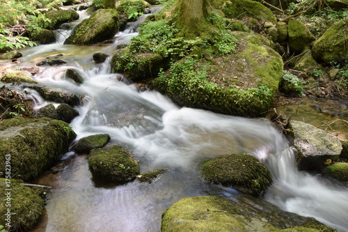 Fototapeta Naklejka Na Ścianę i Meble -  Gaishöll-Wasserfälle bei Sasbachwalden