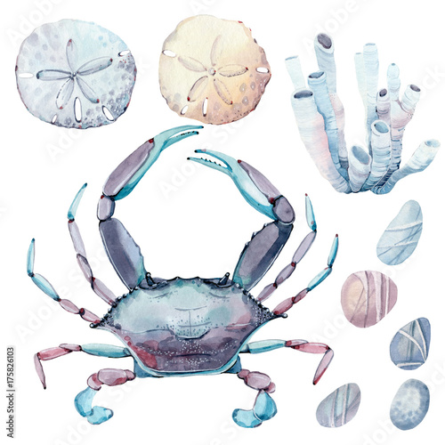 Fotografija hand drawn sea clipart.