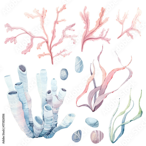 Obraz na płótnie ręcznie rysowane morze clipart