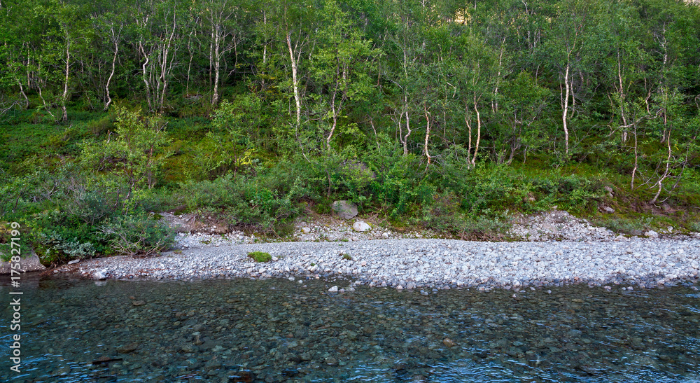 Obraz premium The rapid flow of the mountain river.