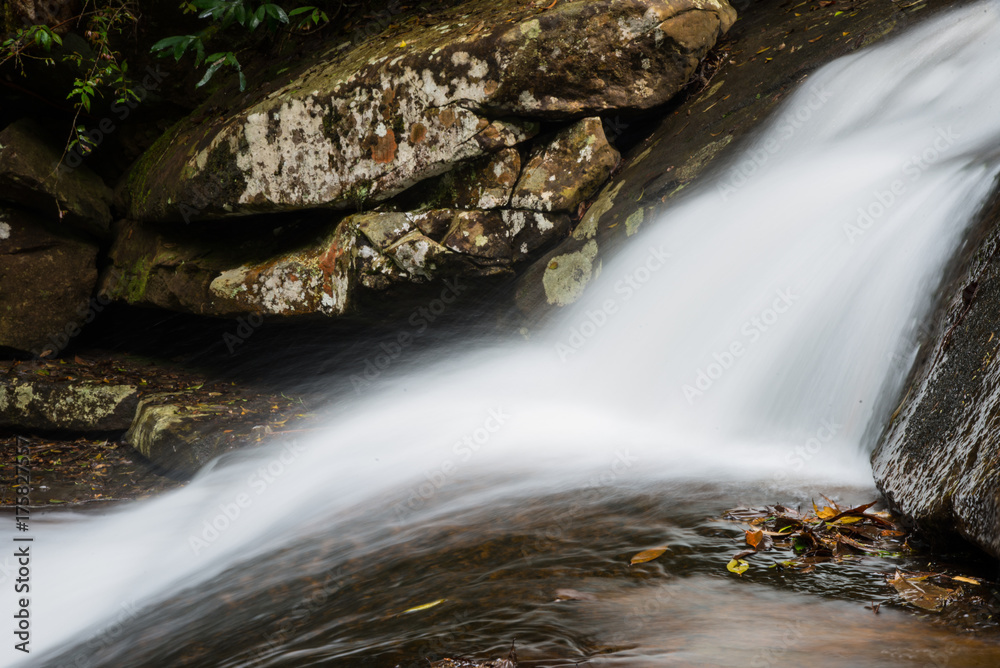 Fototapeta premium white waterfall in nature.