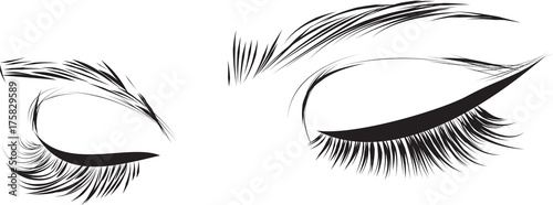 Beautiful woman eyes with long eyelashes Vector illustration