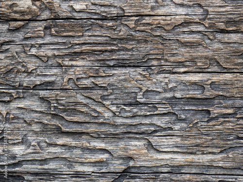 Wooden texture