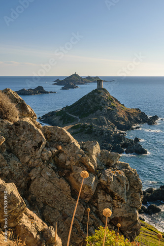 Corsica - iles de sanguinaires
