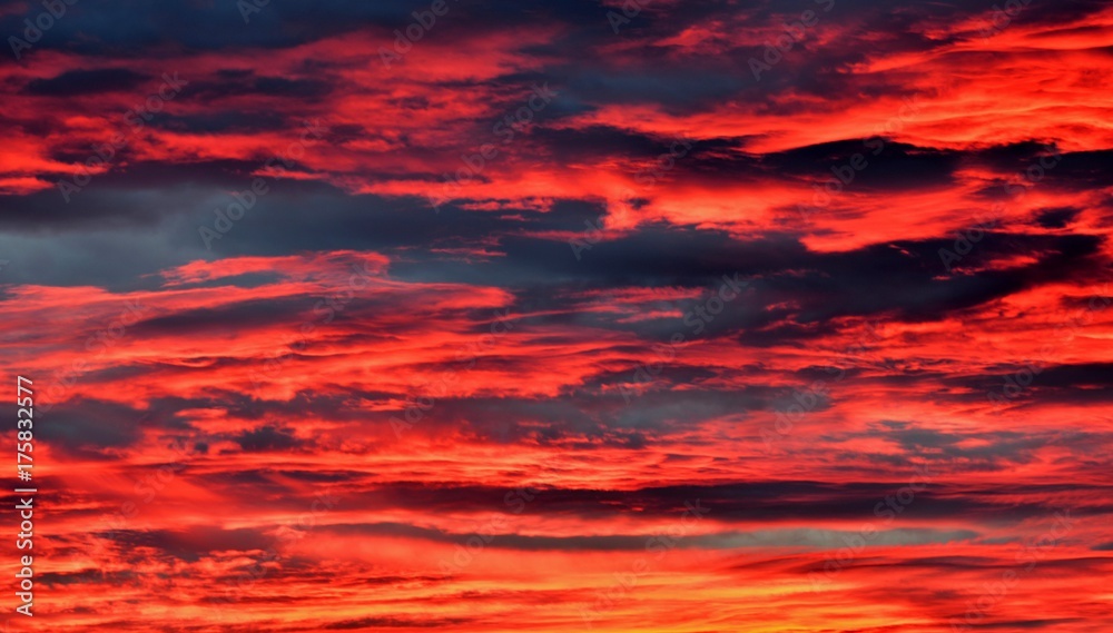 Fototapeta premium sunset