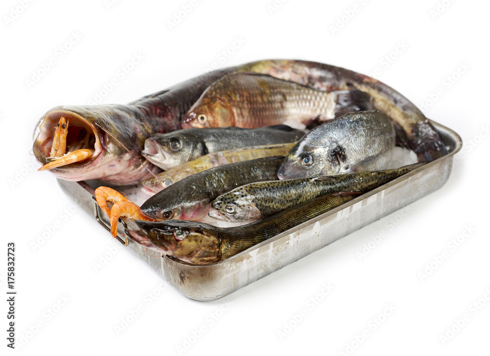 Fish pan Fish pan