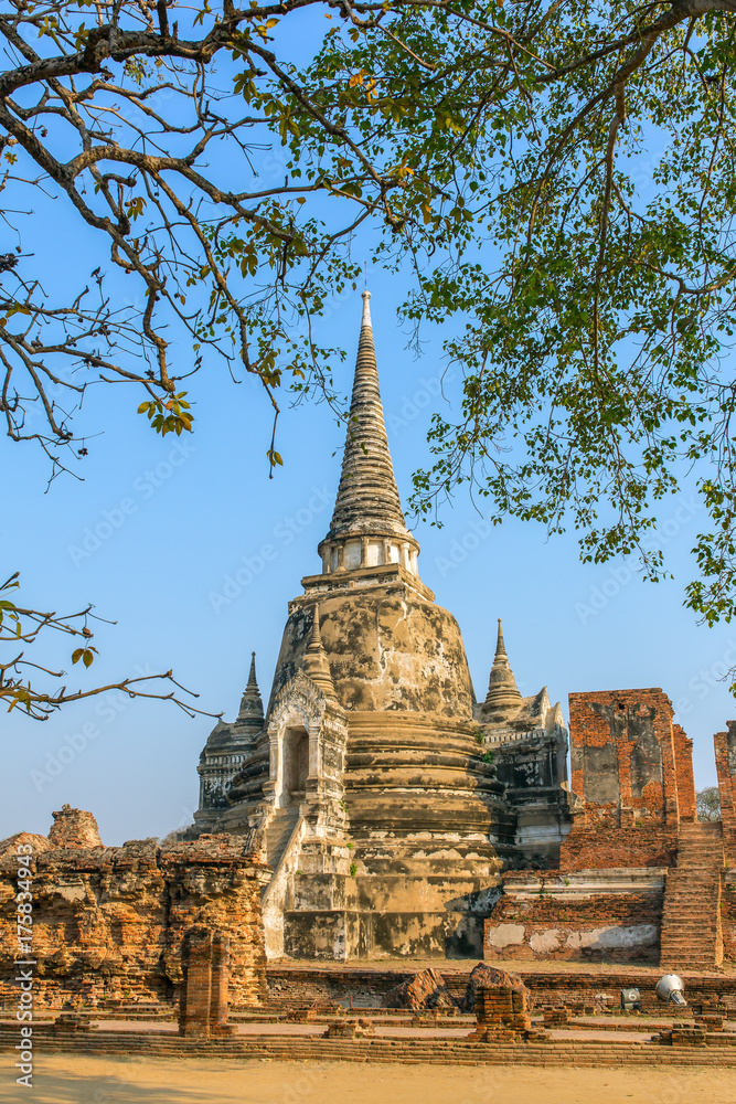 Fototapeta premium Wat Phra Si Sanphet Temple in Ayutthaya Historical Park, Thailand