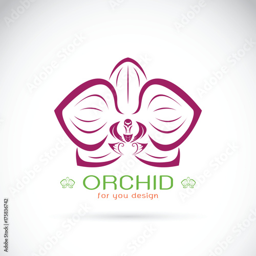 Vector of an Orchid logo on a white background. Flower.