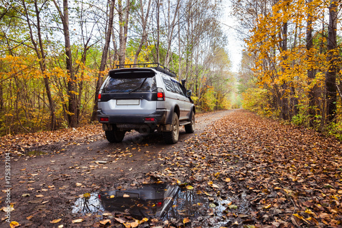 SUV on dirt road in autumn forest