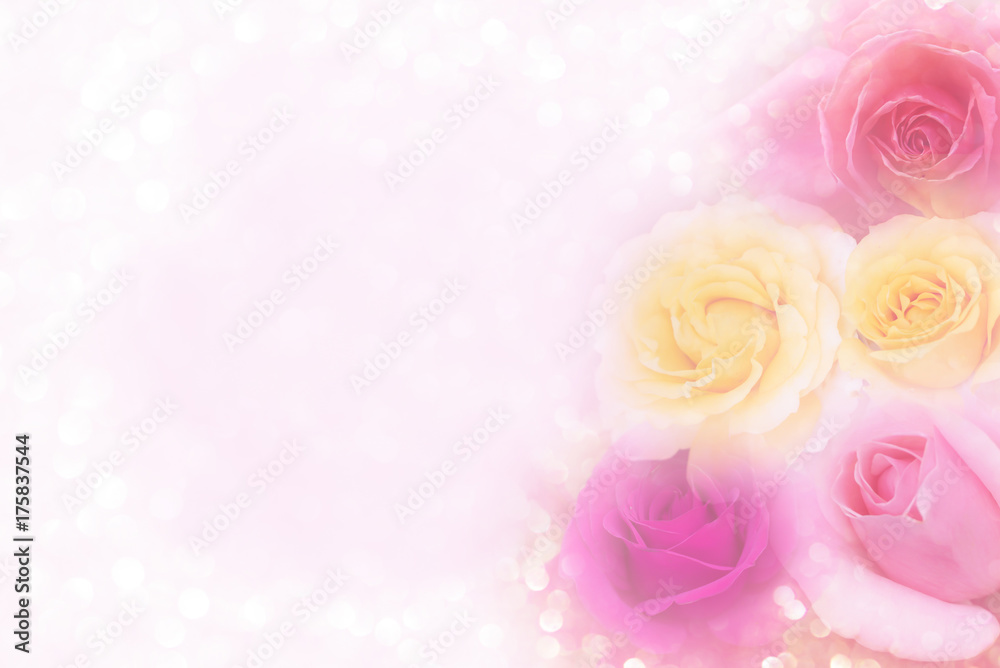 beautiful soft pink purple and yellow roses background in pastel tone for valentine or wedding card beautiful soft pink purple and yellow roses background in pastel tone for valentine or wedding card