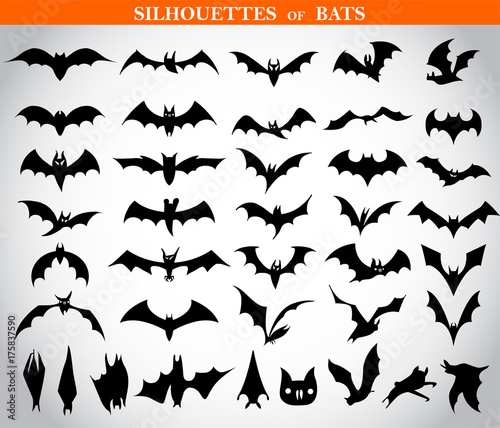 Silhouettes of bats