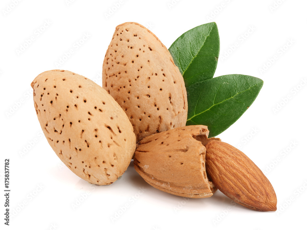 Group of almond nuts with leaves isolated on white background Group of almond nuts with leaves isolated on white background
