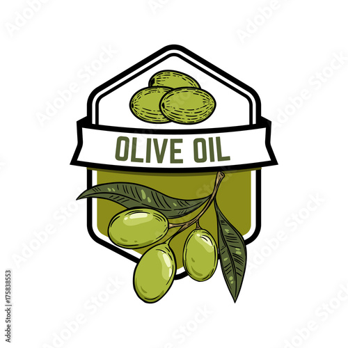 Extra virgin olive oil. Olive branch. Design element for emblem, sign, badge, label. Vector illustration