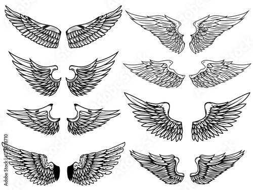 Set of vintage wings illustrations isolated on white background. Design element for logo, label, emblem, sign. Vector illustration.