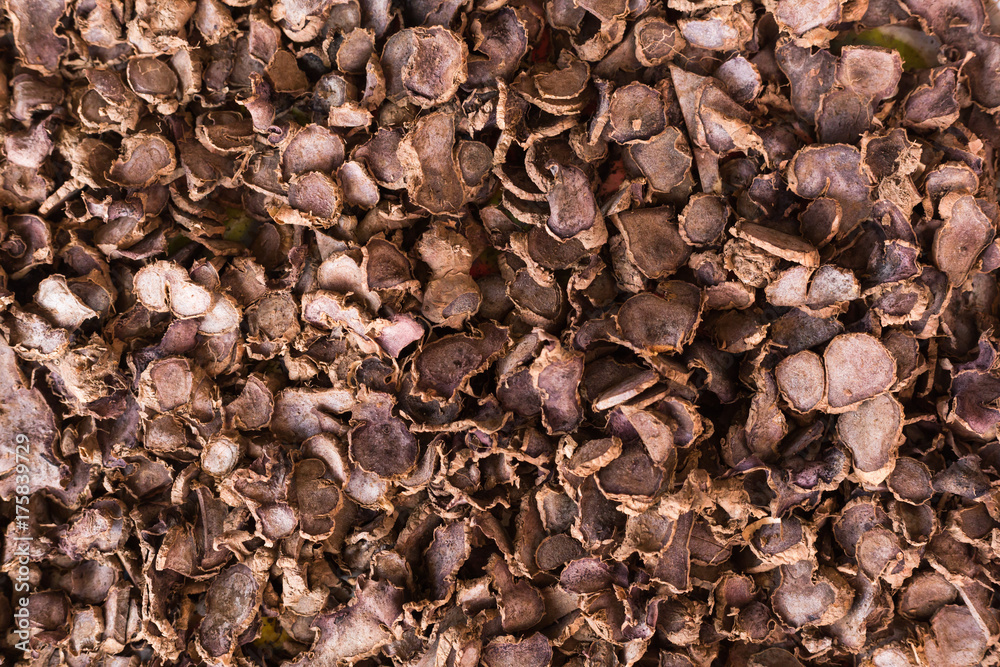 Black Galingale chopped as herb Black Galingale chopped as herb