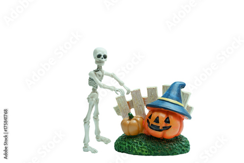 Halloween concept   Plastic human skeleton model  and ceramic pumpkins isolated on white background