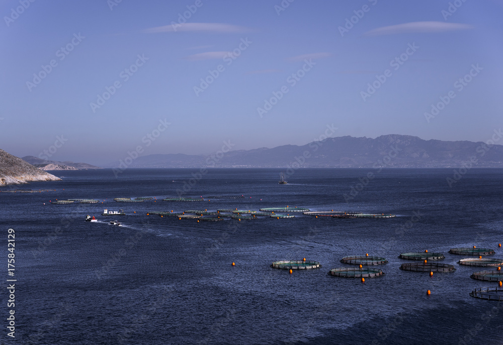 Fish Farm off the coast of Kalymnos. Greece Fish Farm off the coast of Kalymnos. Greece