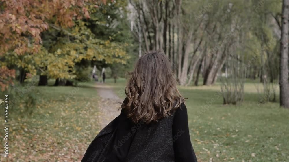 Beautiful girl walks smiling in autumn in the park Beautiful girl walks smiling in autumn in the park
