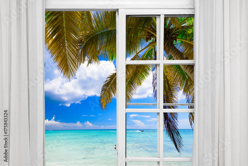 window open palm beach © dbrus