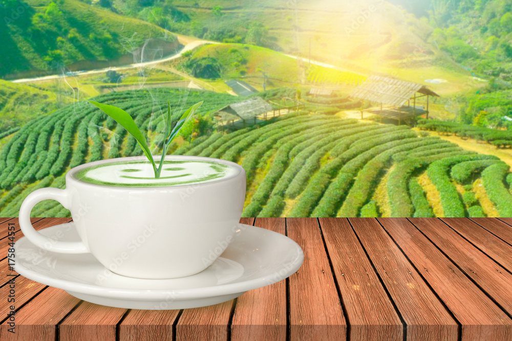 Hot green tea latte with Trees growing on the wooden table and the Plantations background Hot green tea latte with Trees growing on the wooden table and the Plantations background