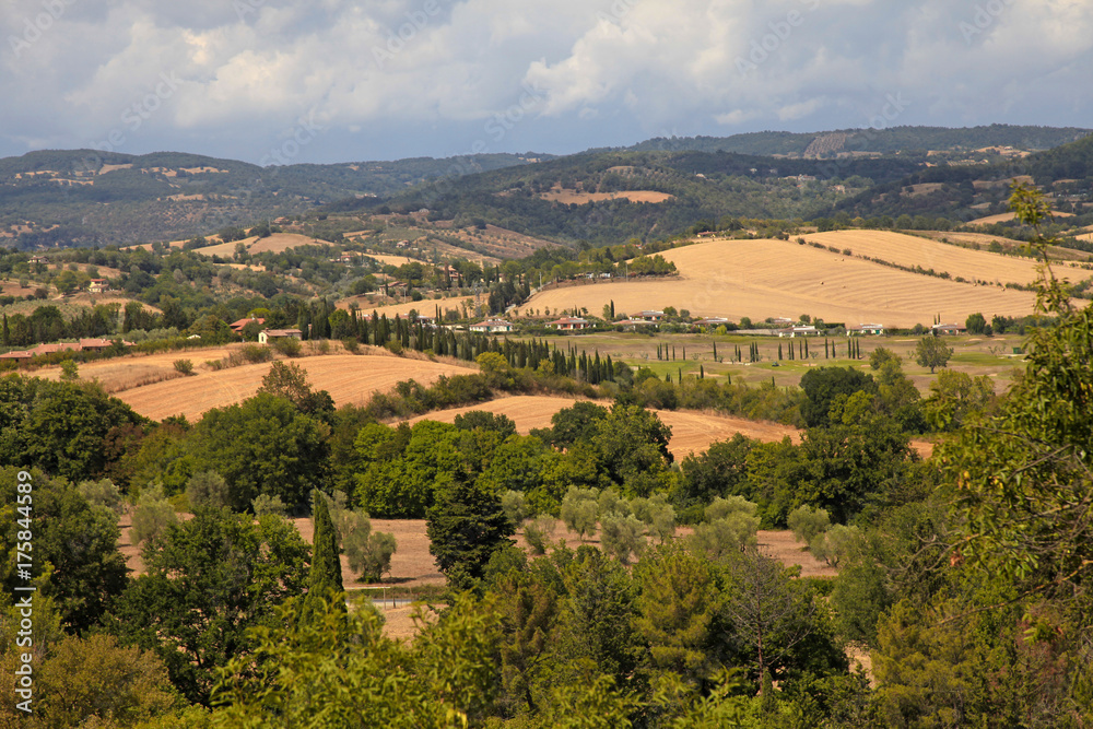 beautiful summer landscape in Tuscany, Italy