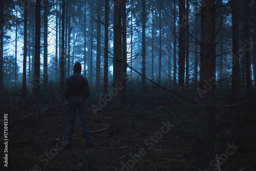 Man in hoody standing in spooky misty pine forest. © ysbrandcosijn