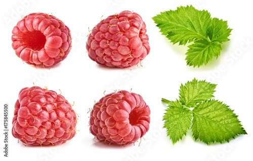 Ripe raspberry isolated on white background. Collection of raspberry and raspberry leaves. Macro photography with great depth of field. DoF.