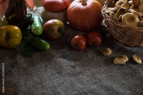 Still life from autumn natu...