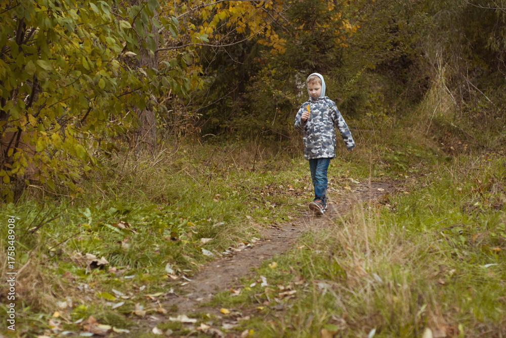 Little boy in autumn Park, Little boy in autumn Park,