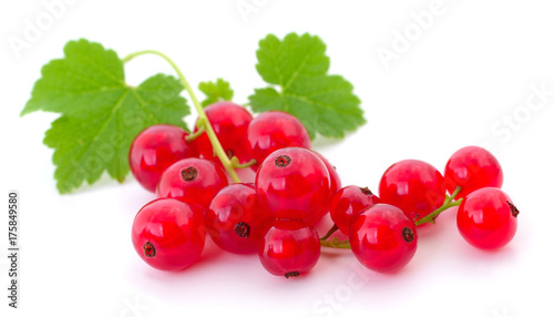Red currants isolated.