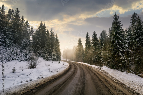 winding road through winter spruce forest. beautiful nature scenery on foggy and cloudy morning. lovely transportation background. © Pellinni