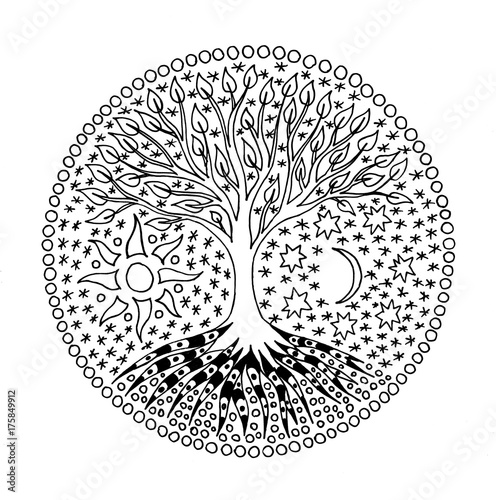Photography Tree of Life. Mandala. Symbolical picture